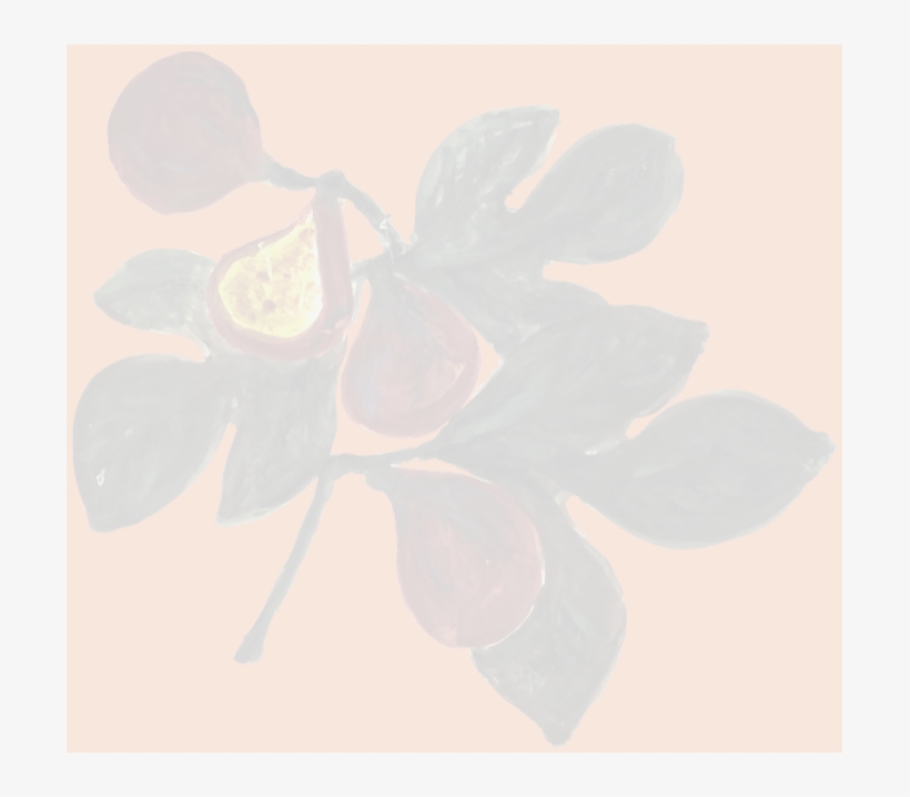 4 / - Sketch, transparent png download