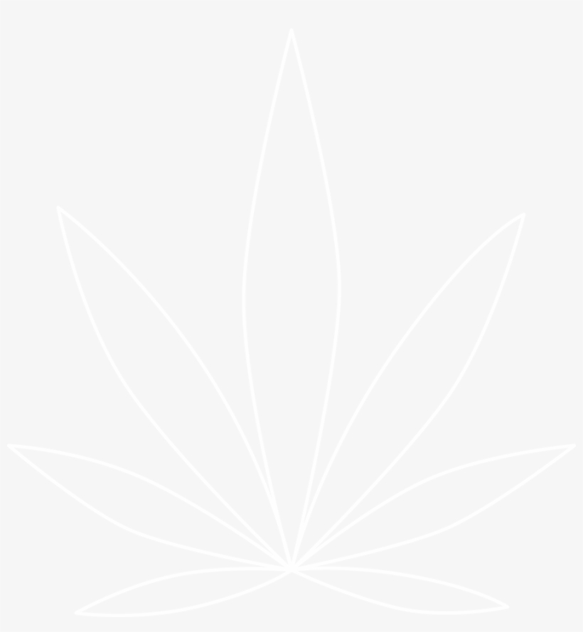 Ou Know When You Buy An Expensive Bottle Of Whiskey - White Photo For Instagram, transparent png download