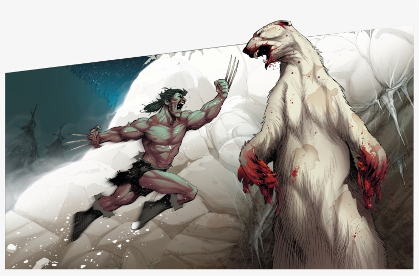 Wolverine - Wolverine Animal Vs Polar Bear, transparent png download