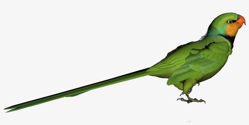 Clip Art, transparent png download