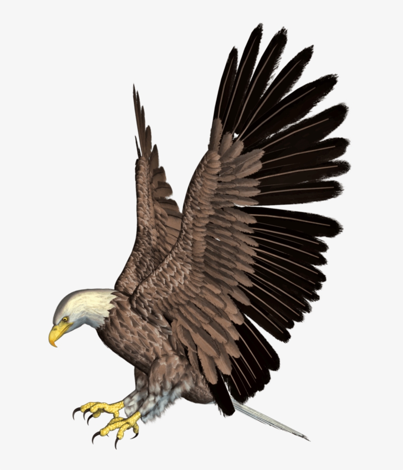 Bald Eagle Png Hd Mart - Eagle Png Hd, transparent png download