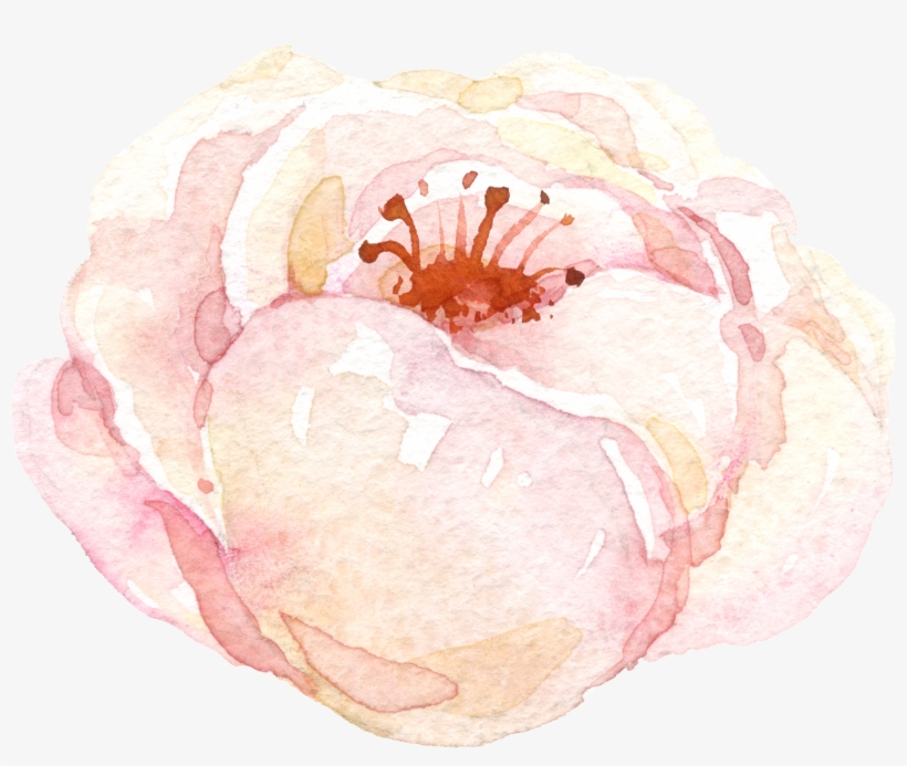 Watercolour - Watercolor Painting, transparent png download