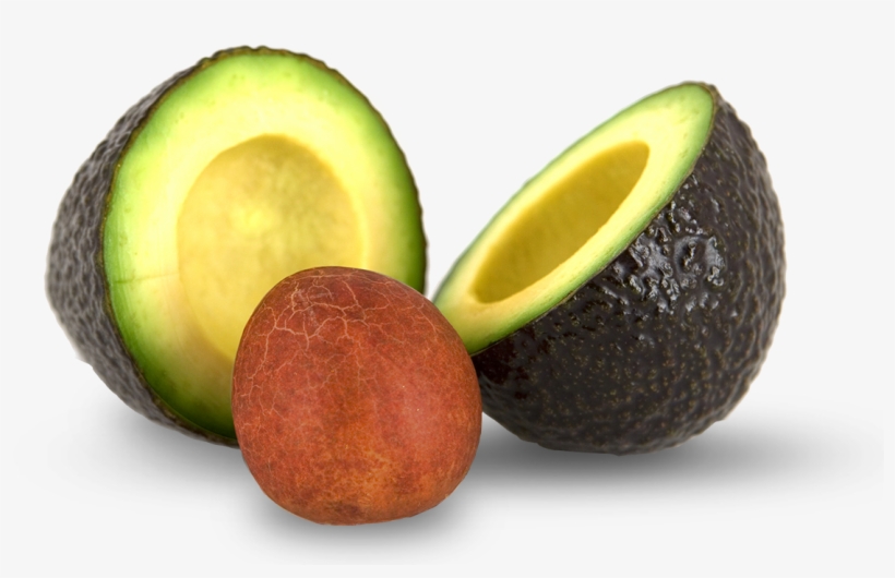 Want To Turn Something Crisp - Hueso De Aguacate, transparent png download