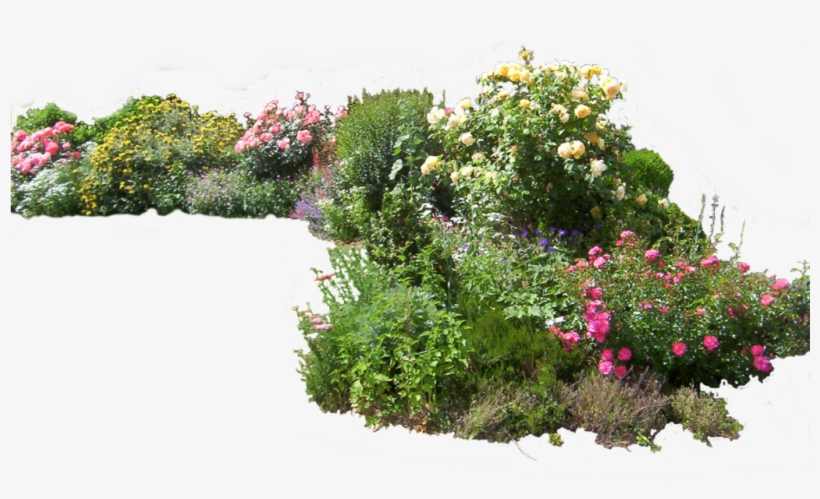 Flowered Garden Png - Garden Png, transparent png download