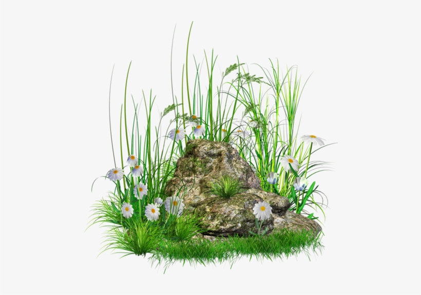 Stone With Grass And Flowers Png Clipart - Grass And Stone Png, transparent png download