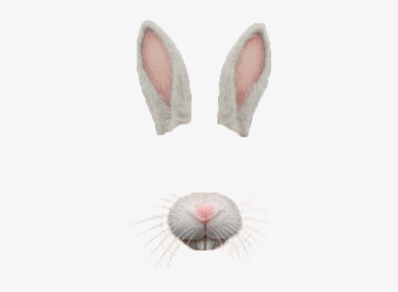 41 Images About Snapchat Filter Png On We Heart It - Snapchat Transparent Png Overlay, transparent png download