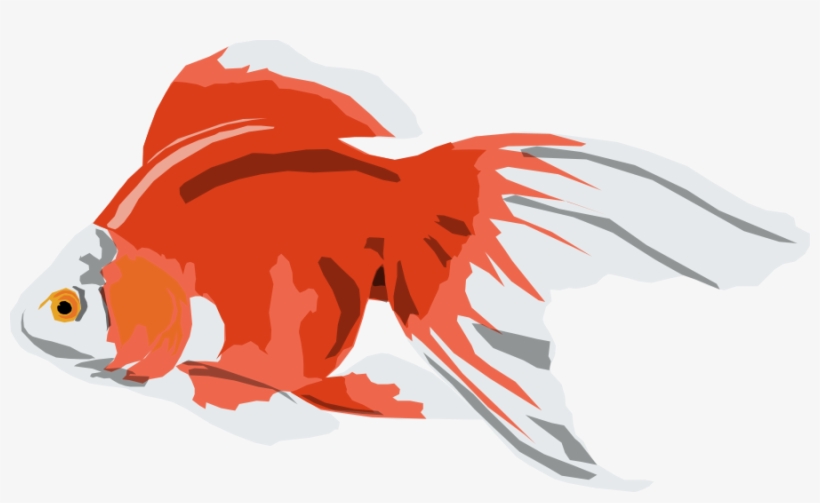 How To Set Use Goldfish Clipart, transparent png download