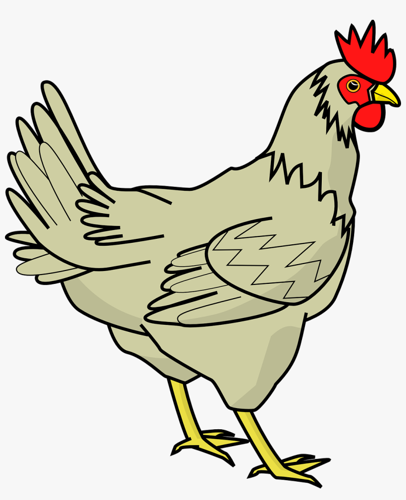 Chicken Png Images, Free Chicken Picture Download - Chicken Clipart Png, transparent png download