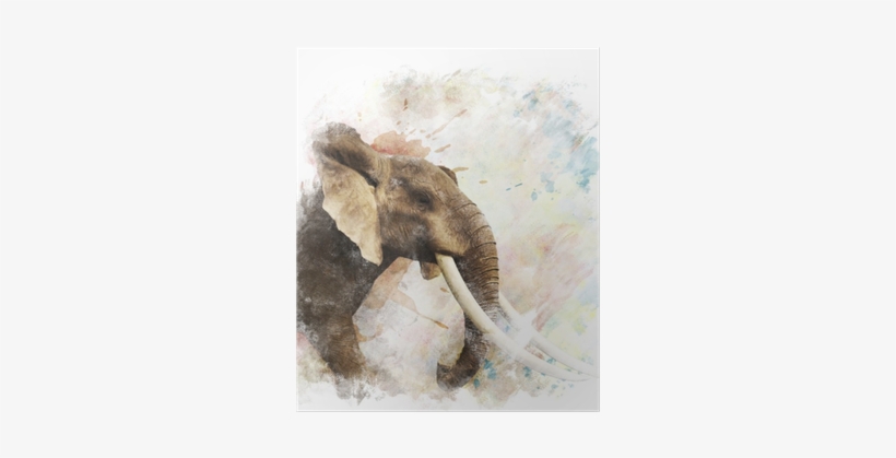 Elephants Digital Painting, transparent png download
