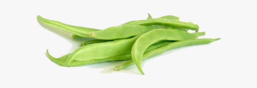 Green Beans Png Clipart - Flat Beans Png, transparent png download