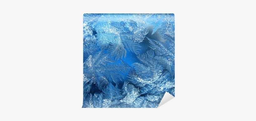Frozen Water Drops On A Window Wall Mural • Pixers® - Stock Photography, transparent png download
