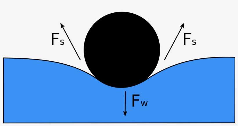 Open - Surface Tension Definition, transparent png download