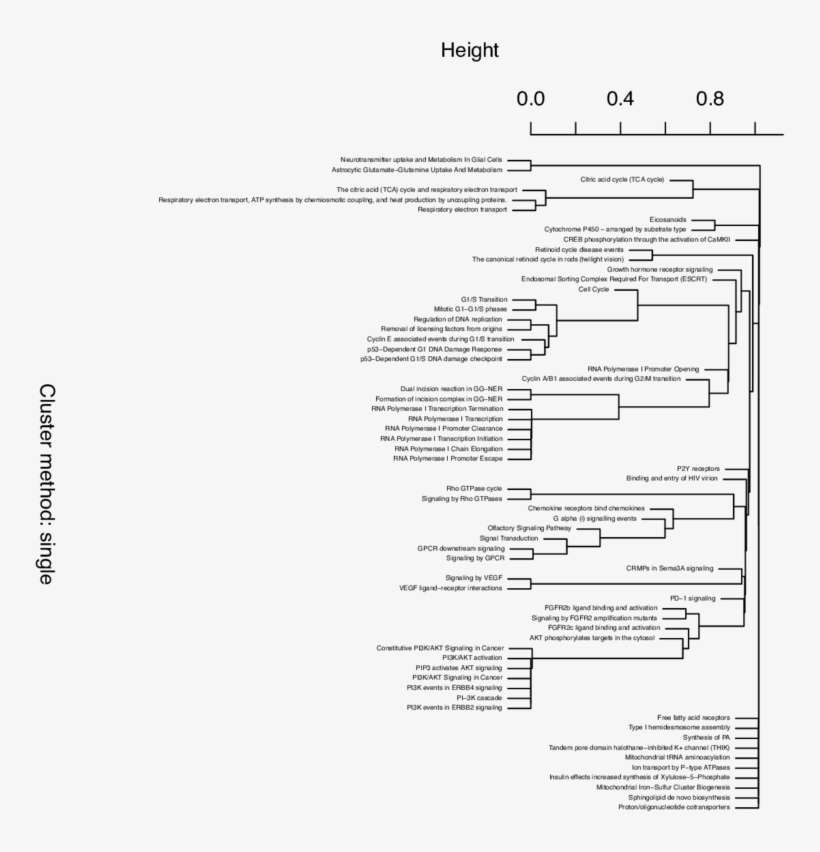 Gene Content Clustering Of Significant Pathways In - Statistical Significance, transparent png download