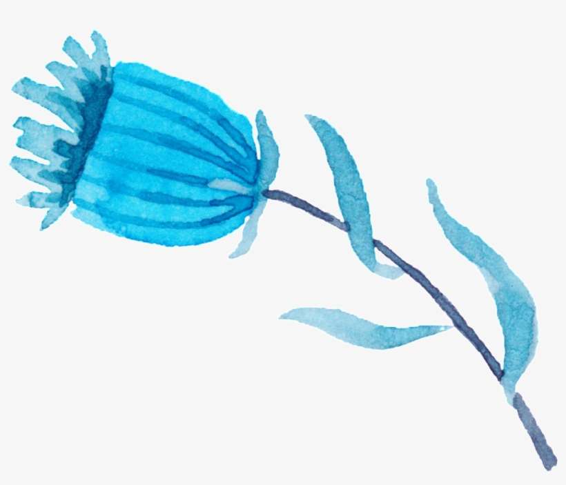 Creative Poppies Transparent Watercolor Hand Painted - Flower, transparent png download
