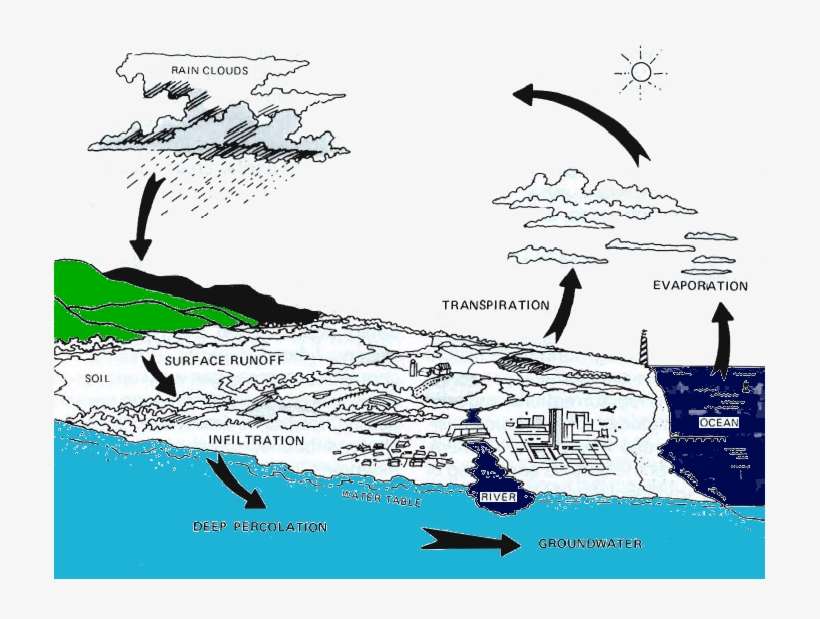 Water Cycle Of Virginia Beach, transparent png download