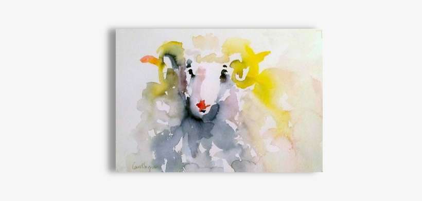 Resplendent Ram Options - Watercolor Paint, transparent png download