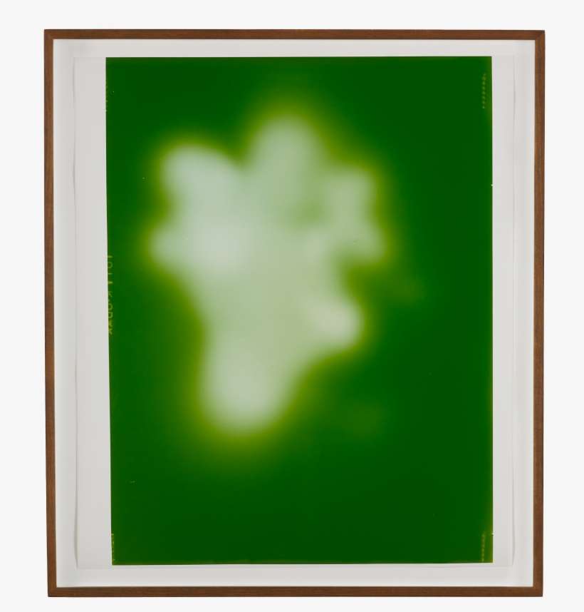 Full Screen - Sigmar Polke Uranium Green, transparent png download