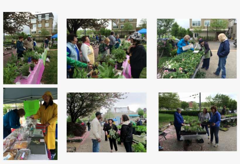 Picture - Botanical Garden, transparent png download