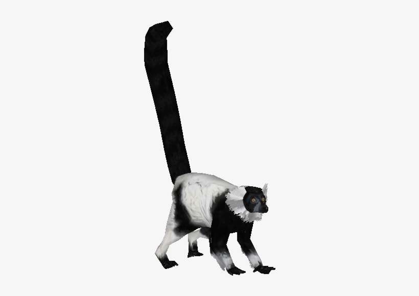 Whiteruffedlemurludo - Black And White Ruffed Lemur Png, transparent png download