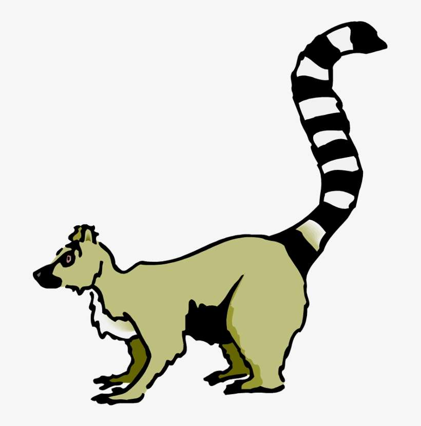 Madagascar Lemur Clipart - Lemur Clip Art, transparent png download