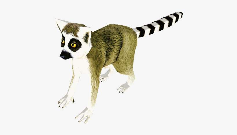 Download Zip Archive - Madagascar Cat, transparent png download