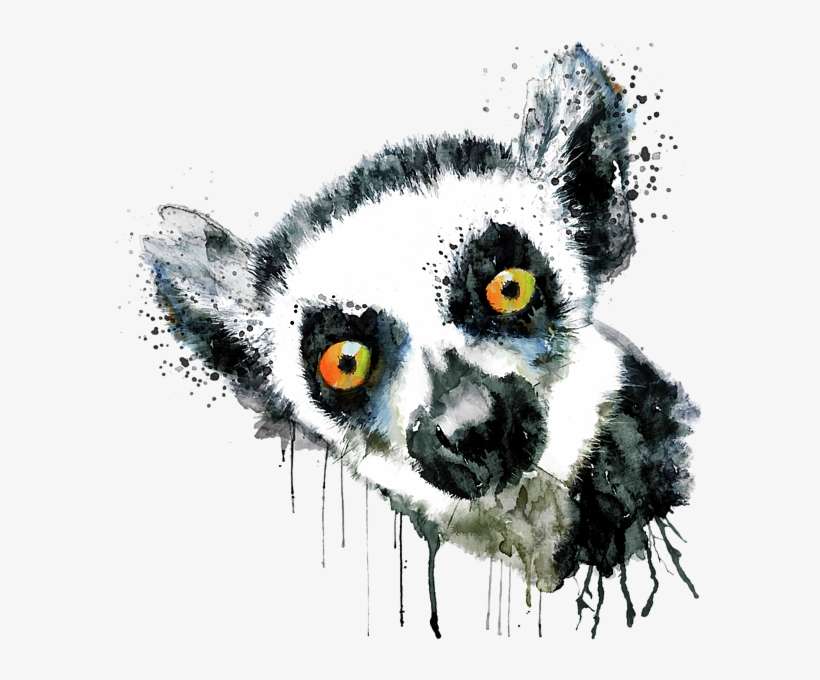 Bleed Area May Not Be Visible - Lemur Artwork, transparent png download