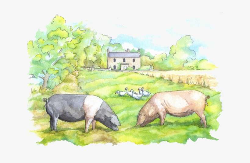 Hunting Hall Farm, transparent png download