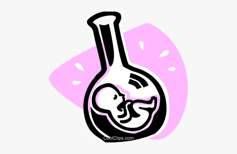 Fetus Royalty Free Vector Clip Art Illustration Vc075912 - Test Tube Baby Clip Art, transparent png download
