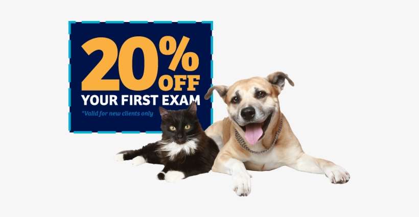 20% Off Your Exam - Mars Petcare, transparent png download