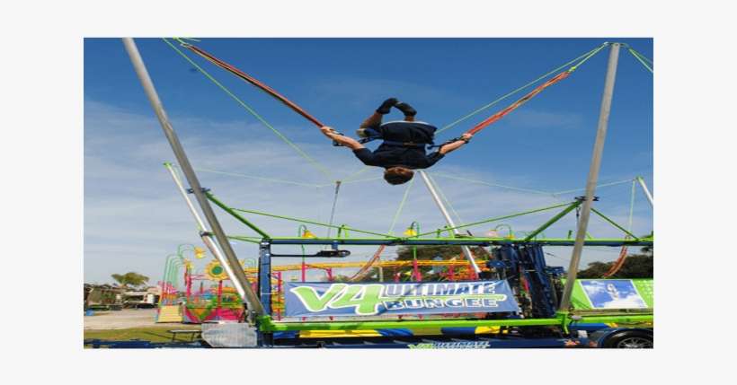 Products/thumbs/tiny 800 356 Bungee 1large - Portable Network Graphics, transparent png download