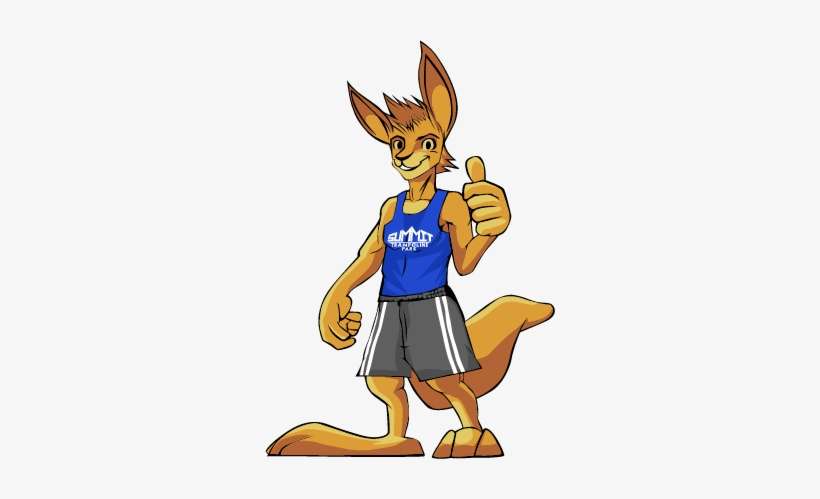 Summit Trampoline Park, transparent png download