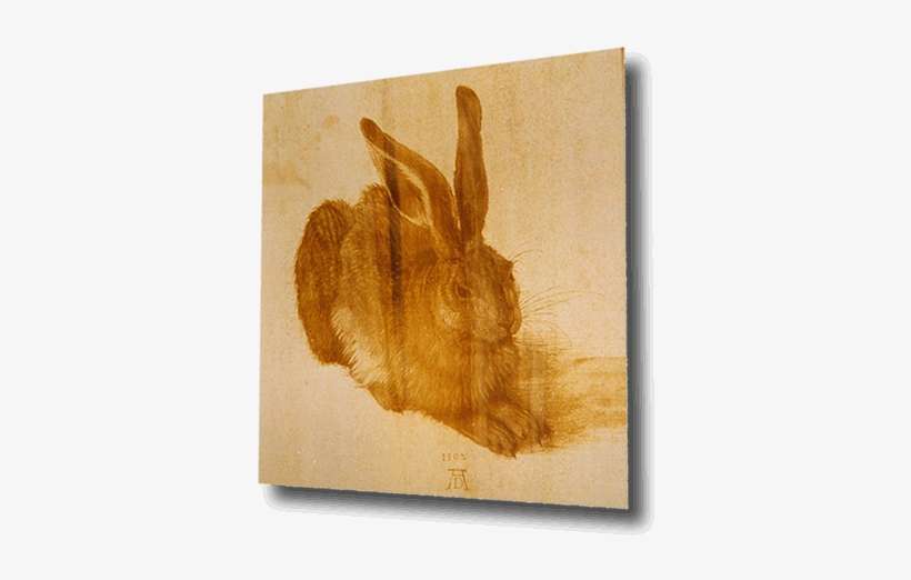 Albrecht Durer Paintings, transparent png download