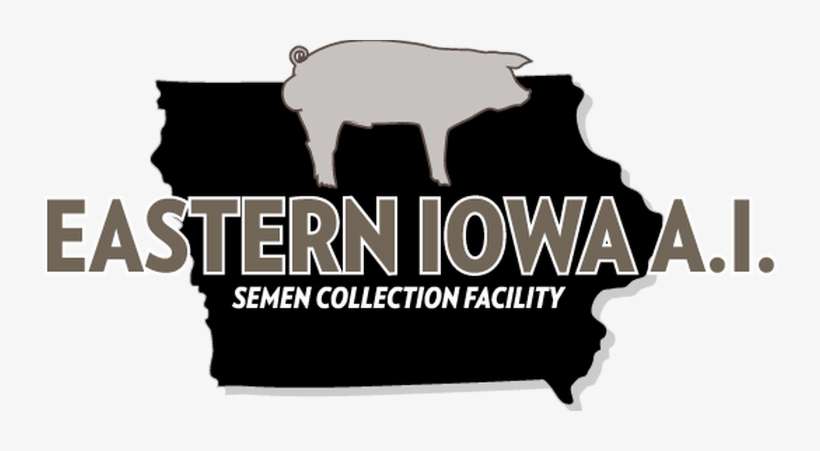 Eastern Iowa A - Eastern Iowa Ai Inc., transparent png download