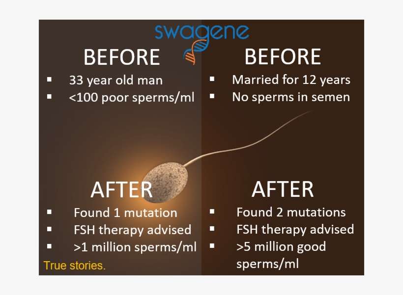 From 0 To Millions Of Sperms Male Fertility Miracles - Endorfina Events, transparent png download