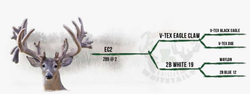 Semen, transparent png download