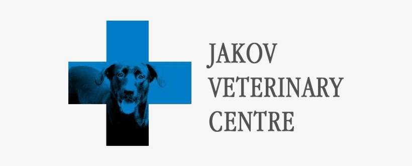 Jakovo Veterinarijos Centras - Easy As Pie Cooking Class, transparent png download