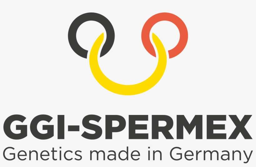 National Flag Of Germany Sportswear, transparent png download