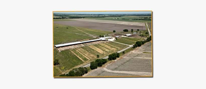 Constructed On A Portion Of Land That Was A Stephen - Stephen F Austin's Land, transparent png download