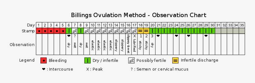 Preview - Métodos Billings, transparent png download