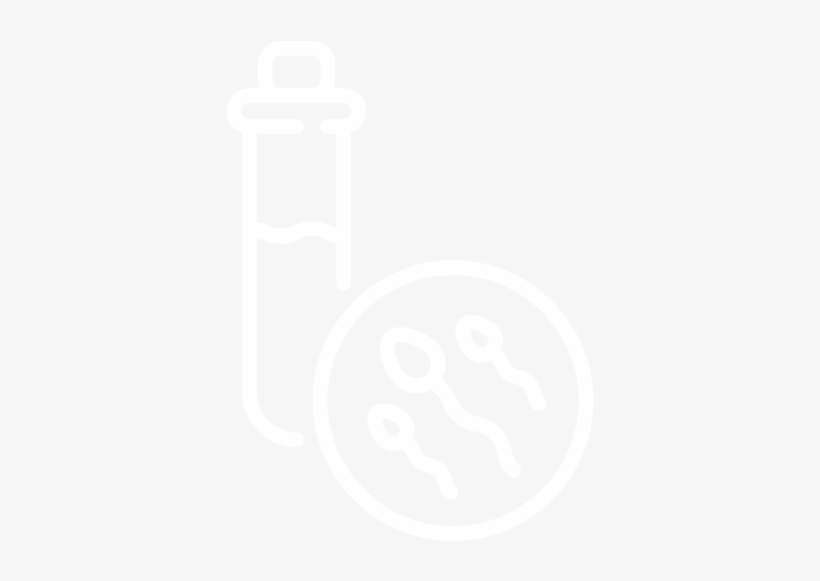 Sg Cattle Services - Graphic Design, transparent png download