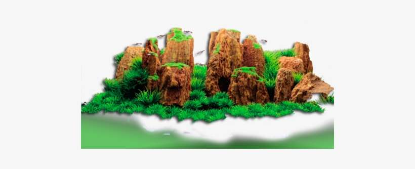 Ornamentos Aqua Scaping - Hugo Plant Display 2 60cm, transparent png download