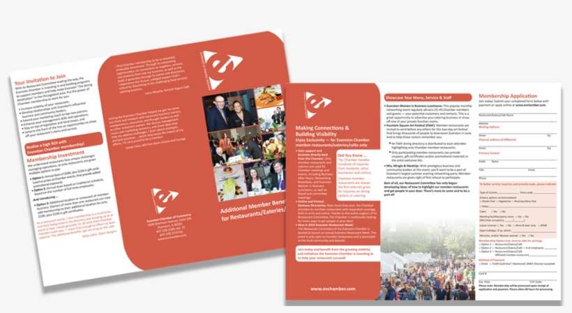 Ipha Flyers - Brochure, transparent png download