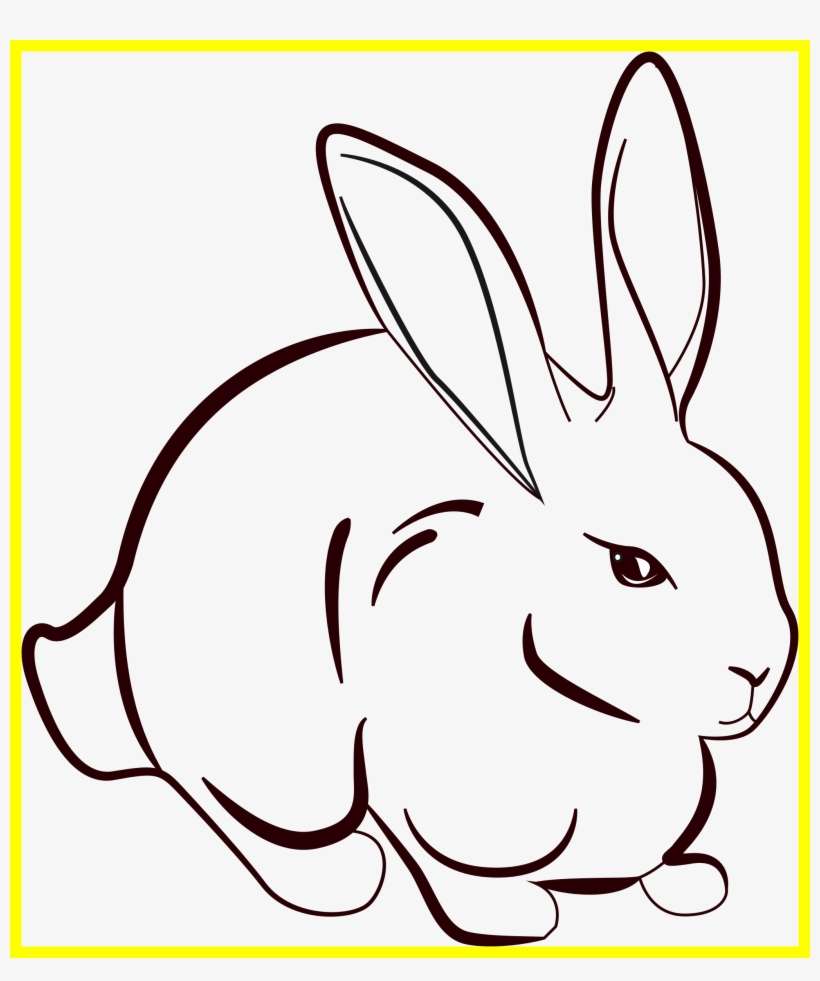 Amazing Rabbit Lineart Image For Line Drawing - Rabbit Line Art Png, transparent png download
