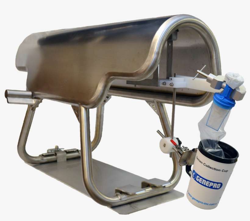 Semen, transparent png download