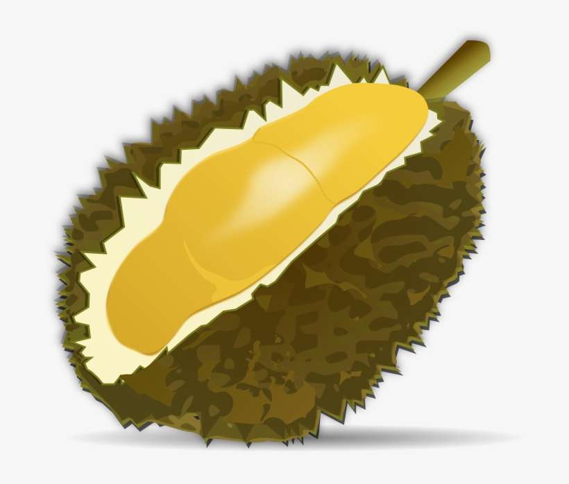 Free Fruit Clipart - Durian Fruit Clipart, transparent png download
