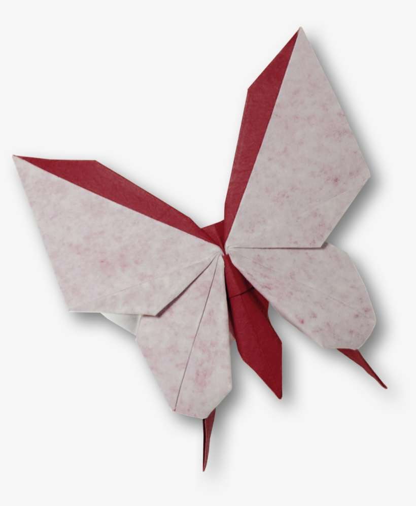 Ki Horigami - Origami Butterfly Png, transparent png download