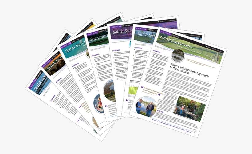 Fan [2] - Puget Sound, transparent png download