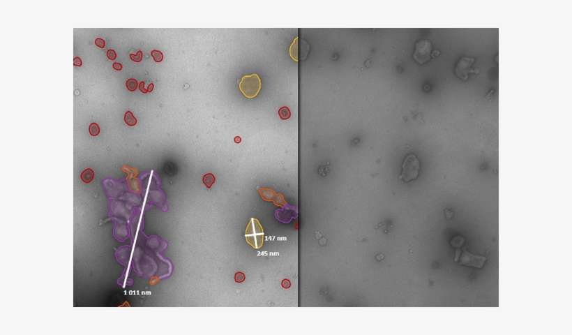 Click To View This White Paper Now - Vaccine, transparent png download