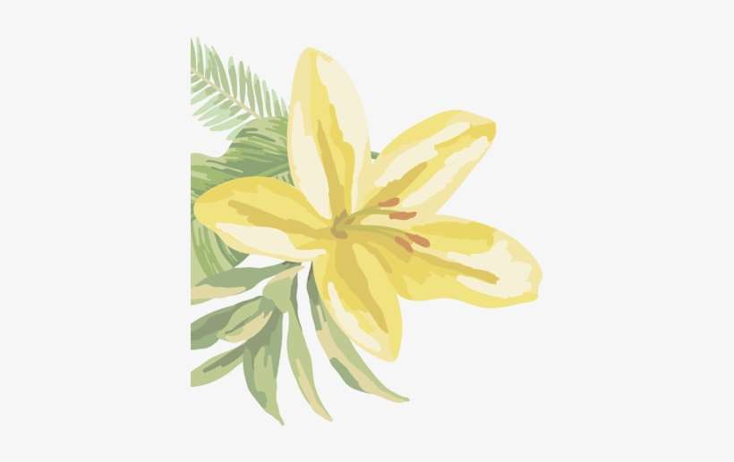 Flower - Flower Caribea Png, transparent png download