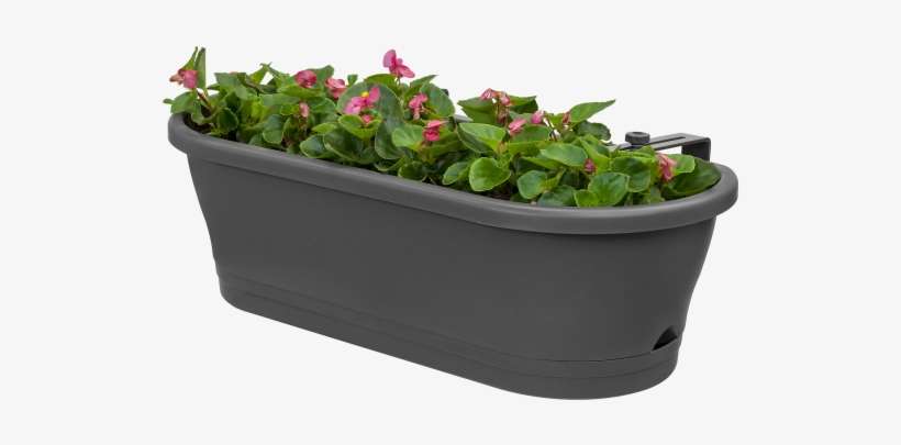 Home > Collection > Corsica Easy Balcony - Corsica Easy Flower Box 58 X 25 X 18 Cm Cherry D /, transparent png download